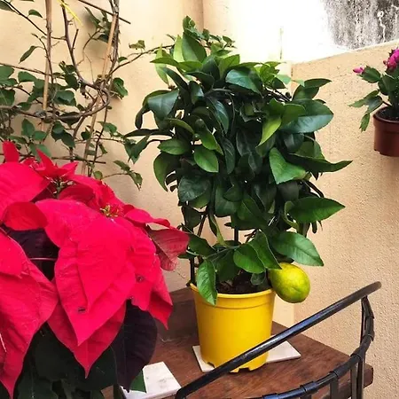 10-15 Min To Railway, Beach, Marketplace Appartement *